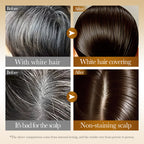 SADOER Ginger Plant Extract Hair Dye (Chestnut Brown) 25ml*10PCS