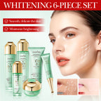 SADOER Niacinamide Whitening Brightening Skincare Gift Box 100g+130ml+100ml+40ml+20g+50g