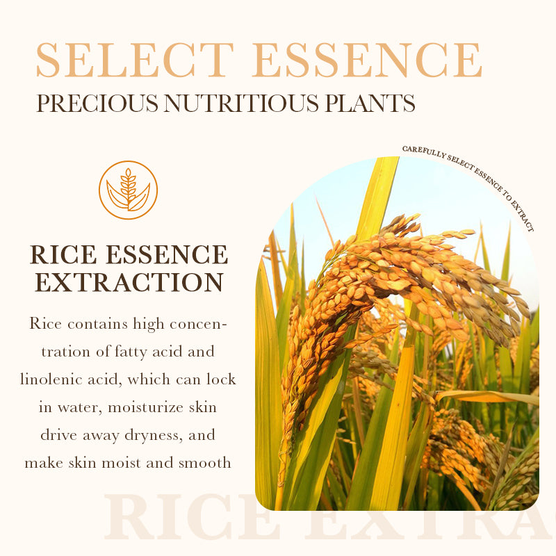 BIOAOUA Rice Original Pulp Gel 300g